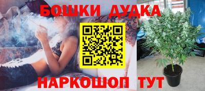 дмт Усть-Джегута