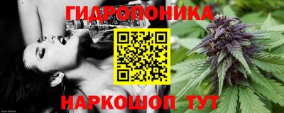 ешки Усть-Илимск